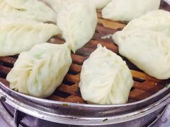 -小叶大馅饺子城