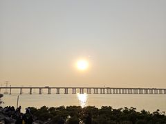 -宝安西湾红树林湿地公园