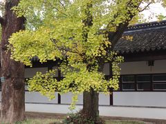 -苏州文庙(姑苏区)