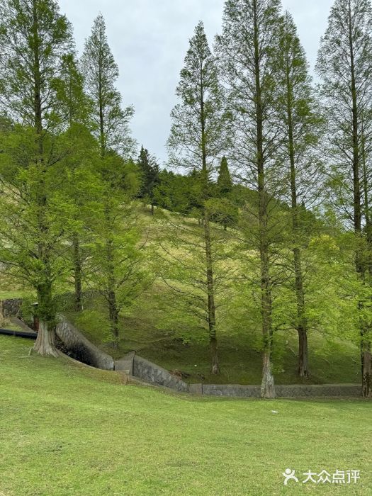 神户市立六甲山牧场图片