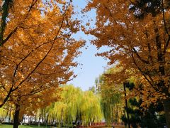 -元大都城垣遗址公园