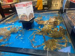 水产区-盒马鲜生(宝地店)