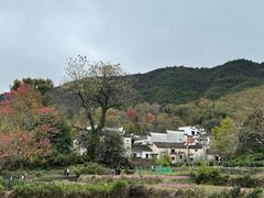 -塔川景区