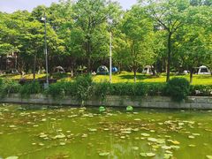 -月湖风景区