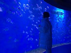 -波塞冬旅游度假区