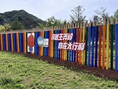 -王莽岭风景区