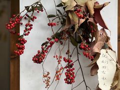 -竹子咖啡bamboo coffee