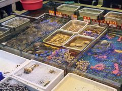 -东江海鲜大排档·潮汕菜·砂锅粥
