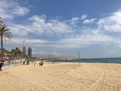 -小巴塞罗那海滩