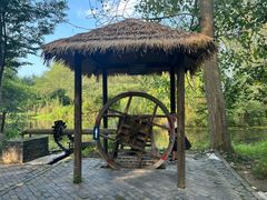 -溱湖国家湿地公园