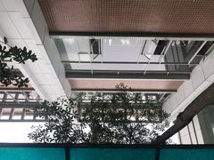 -东莞市人民医院(普济院区)