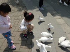 -无锡动物园·太湖欢乐园