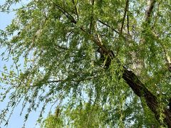 -汉长安城未央宫国家考古遗址公园