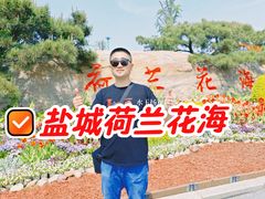 -荷兰花海