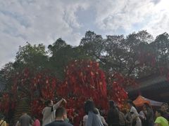 -国恩寺