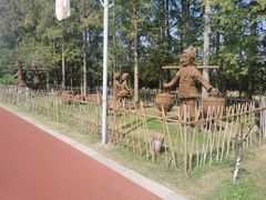 -上海长兴岛郊野公园