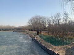 -大兴滨河森林公园