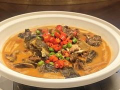 -朝阳闽灶·非遗文化闽菜馆·福建老字号(福飞路店)