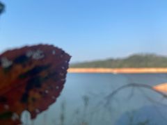 -广州市流溪河国家森林公园
