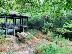 -白马涧龙池景区