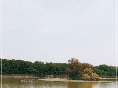 -大湾区中央湿地公园