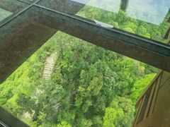 -少华山国家森林公园