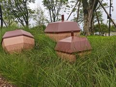 -铁山坪森林公园