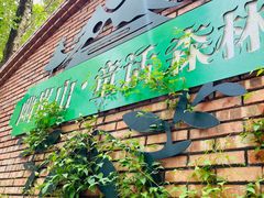 -幽岚山·童话森林