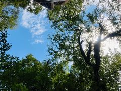 -龙苍沟森林公园