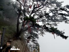 -老界岭旅游度假区