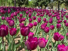 -长春公园(普阳街道)