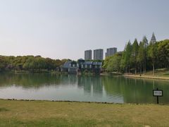 -新洲生态园