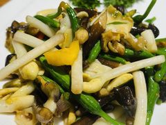 花生苗螺片-周锦记广式餐厅