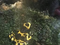 -暹罗海洋世界