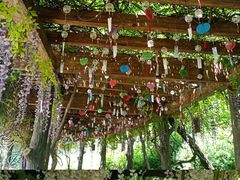 -雪山彩虹谷景区