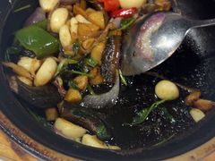 -明本湛江鸡•海鲜小厨(陈家祠店)