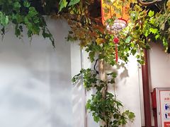 -成老灶火锅鸡(平山店)
