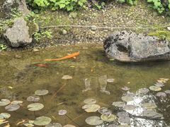 -中铁花水湾四季温泉谷