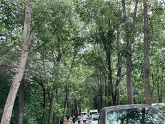 -三圣花乡旅游区