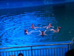 -多彩贵州城极地海洋世界