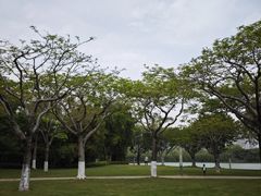 -白鹭洲公园