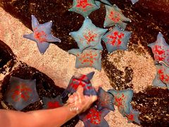 -沈阳海洋探索中心