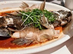 -新兴·金羊座·粤菜点心(乐峰店)