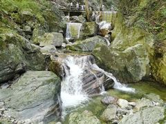 -牛背梁国家森林公园