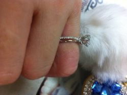 iphone_upload_pic-威德钻石-克拉钻大本营(南京东路店)