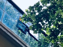 -后院儿·精酿·塔罗Happy Bar
