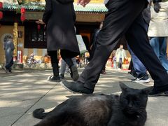 -无锡梅园公园