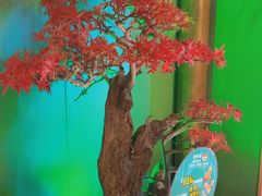 -筱爷叔·上海传统手工菜(玉树路店)