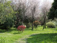 -贵阳市花溪国家城市湿地公园