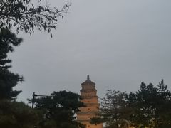 -孙庆海腊牛肉店(大皮院店)